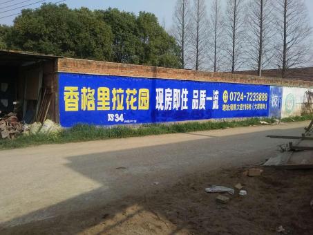 新龙墙体广告对比传统广告媒介的优势在哪里