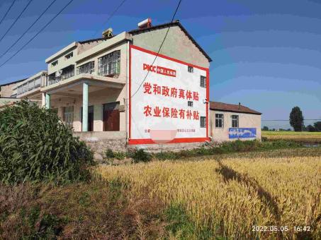 新龙墙体广告多少钱一平