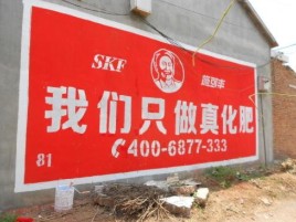 新龙刷墙广告”蕴含了时代命题