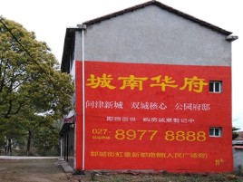 新龙百分之90的人都不了解的农村墙体广告