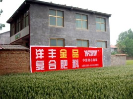 新龙如何让墙体广告展现最大化效果