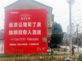 新龙墙体广告在乡镇、农村市场的媒体优势