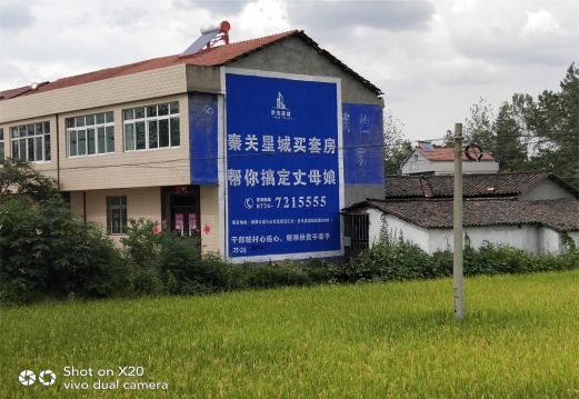 新龙决定墙体广告价格的因素有哪些?