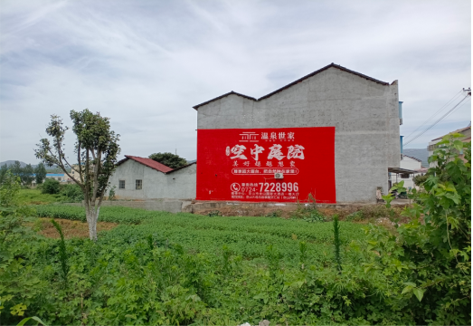 新龙做墙体广告的意义