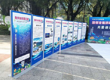 新龙KT板的种类和知识。